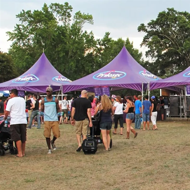 Pagoda Canopy Tent-3
